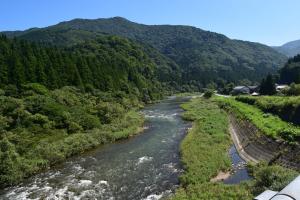 三面川