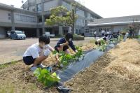協力してくれた神林中学校環境委員会の生徒の皆さん