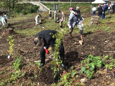 「イロハモミジ」を植樹する市長