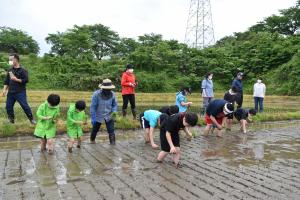 田植えイベント