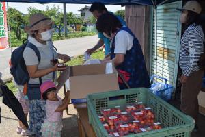 さくらんぼ直売は大好評