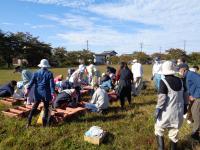 山田・岩野沢集落チューリップの球根植栽