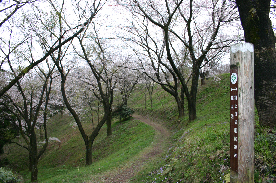 諸上寺公園からの遊歩道