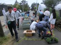 花の植栽