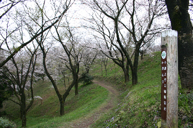 諸上寺公園からの遊歩道