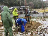 志田平桜①