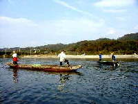 三面川の鮭漁だけに残る居繰網漁