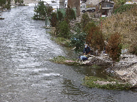 橋の上から漁の風景を望む