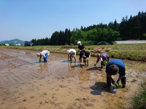 田植え風景