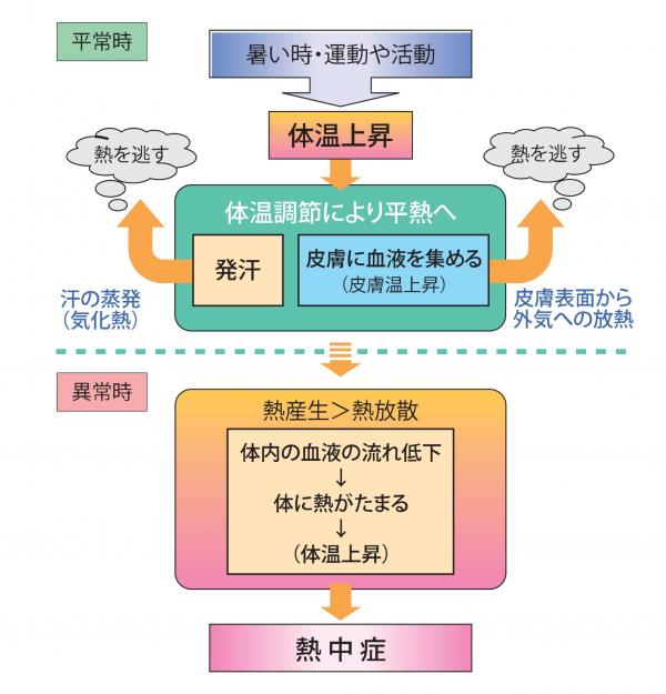 熱中症の起こり方(熱中症環境保健マニュアル2022)
