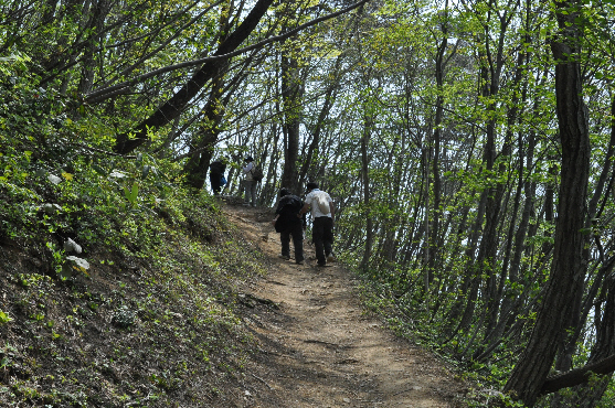 日本国登山道