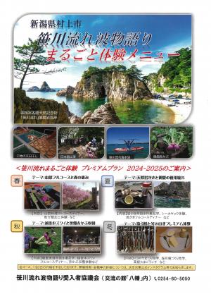 チラシ表面