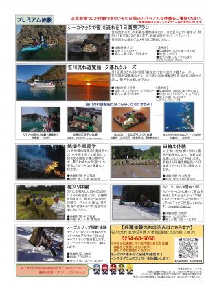 チラシ裏面