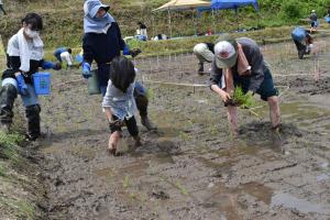 taue4