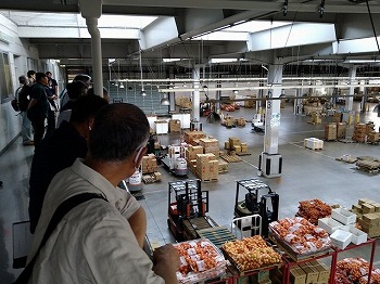 視察の様子