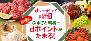 ふるさと納税百選
