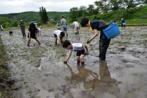 taue3
