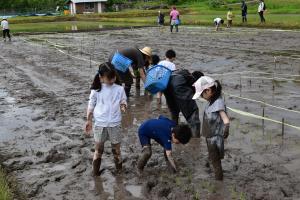taue4