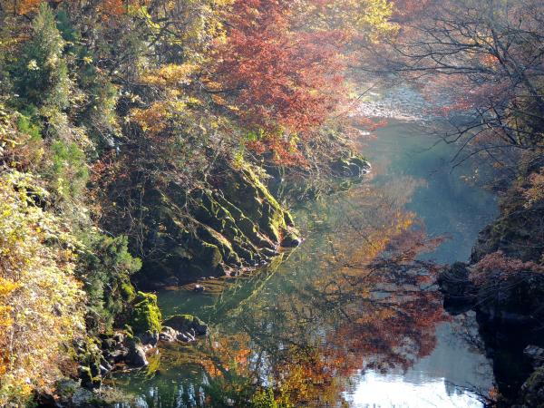 晩秋の赤川渓谷