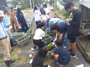 植栽活動中