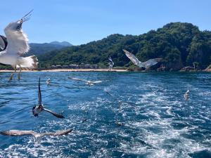 笹川流れ③