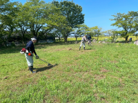 草刈り