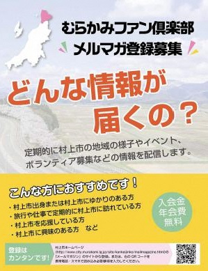 チラシ連絡先なし