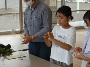 いのみてっぽう