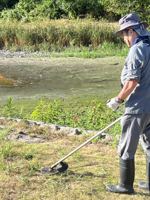 草刈りをする人3
