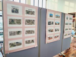 セナミスミレ_1