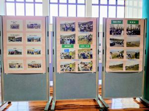 セナミスミレ_2