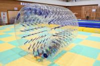 サイバーホイール