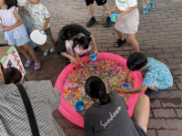 夏祭りスーパーボール