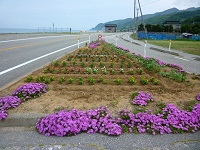 道路脇の花壇への植栽
