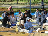 鯉っちゃフェスティバルの様子