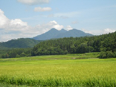 鷲ヶ巣山