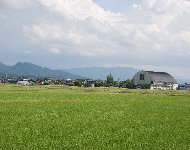 田園