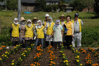 5月23日(火曜日)早稲田万山会花の植栽