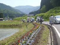 薦川花植え