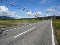 球根植え予定地