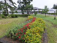 草取り後の花壇