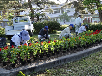 みどり小花植え作業