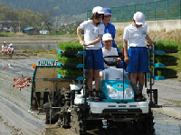 児童が田植え機を運転する様子