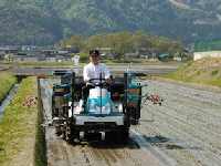 校長先生が田植え機を運転する様子