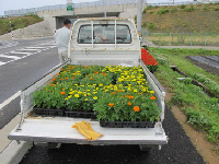 大場沢花植え