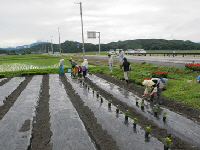 大場沢花植え