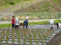 大場沢花植え