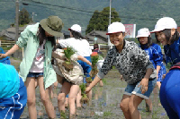 古渡路田植え