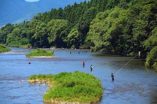 第1回三面あゆ釣り大会