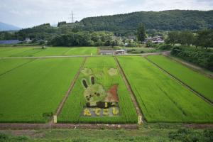 田んぼアート